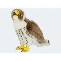 Semo Inconnu Peluche faucon 22 cm, peluche oiseau oiseau de proie (22 cm)