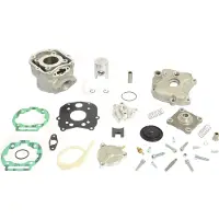 Athena P400105100008 Cylinder Kit Argenté
