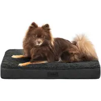 Lionto Lit pour chien, lit orthopédique avec surface en peluche & imitation daim, housse amovible & poignée de transport, 60x40x8 cm, noir
