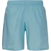 Under Armour Tech Woven Wordmark short bleu L / Regular homme bleu L