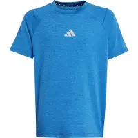 Adidas T-shirt enfant Goto PZ