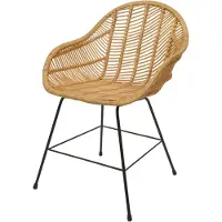 Mendler Chaise de salle à manger HWC-M28, Chaise de cuisine en osier Chaise en rotin Chaise, Kubu rotin métal