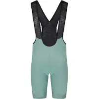 Bioracer Icon Seasonal Bib Shorts Vert M Homme