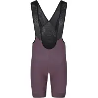 Bioracer Icon Seasonal Bib Shorts Violet S Homme