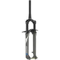 Sr Suntour Axon34 Werx 29´´ Disc Eq/rlrc Pcs 15x110mm Mtb Fork Argenté 29´´ / 120 mm