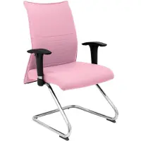 Piqueras Y Crespo Albacete Confidente Office Fixed Chair Rose