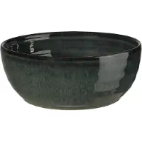 Asa selection Bol Poké Ocean, 18 cm