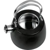 Schulte -Ufer Bouilloire à flûte, Bouilloire électrique, Noir, Argent