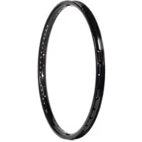 Arise Argon Pro 20´´ X 1.6-195´´ Rim Argenté 20´´ 36H