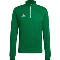 Adidas Entrada 22 Training Sweatshirt Vert L / Regular Homme