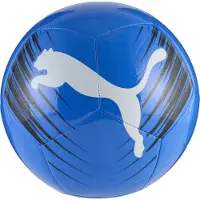 Puma 5