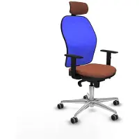 Piqueras Y Crespo Chaise de Bureau Ergonomique avec Dossier - Piqueras y Crespo 1D086G2 en Bleu et Brun