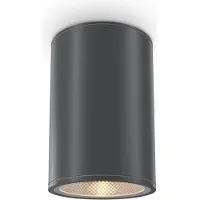 Maytoni Bar LED plafonnier, plafonnier 12W graphite IP65 blanc chaud (1300 lm)