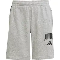Adidas Seasonals Essentials Collegiate Typography Shorts Gris 11-12 Years Enfants