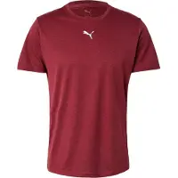 Puma Hommes, T-shirt de sport, M TAD ESSENTIALS HEATHER CAT Tee (CF petit chat) (S), Rouge, S