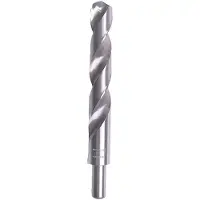 Specialist Premium 19 Mm Metal Drill Bit Argenté