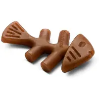 Benebone Fishbone jouet à mâcher en nylon pour chien (saveur saumon)