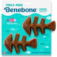 Benebone Mini Fishbone Dog Toy 12 Cm 2 Units Vert