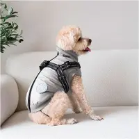 Nordic Paws Thor Dog Jacket Gris S