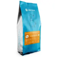 Lincoln Nourriture Pour Chiens De Taille Moyenne Et Grande Ultra Premium Avec Agneau Et Riz 12kg