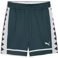 Puma Unisexe, Short, The All Jaws 6.5" Short, Multicolore, (XS)