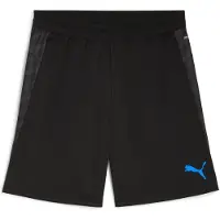 Puma Individualcup Shorts Noir M Homme