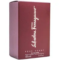 Salvatore Ferragamo Pour Homme Woda toaletowa, 100 ml