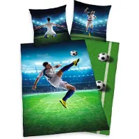 Herding Football (200 x 135 cm, 80 x 80 cm)