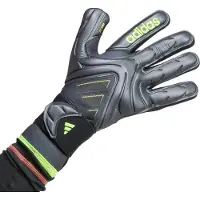 Adidas Copa Pro Goalkeeper Gloves Gris 11
