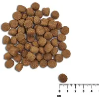 Vet Expert RAW PALEO Heathy Grain Puppy Salmon - croquettes au saumon pour chiots - 2 kg