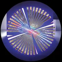 Bertus Distributie Pete Bandit - Wild Feelings [12-Inch Single] Extended Play