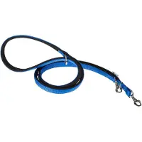 Ferplast Laisse Pour Chien Nylo Daytona 20 Mm 200 Cm