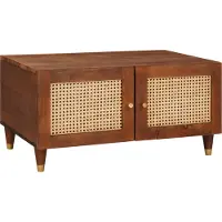 vidaXL Table basse 80 x 50 x 40 cm en bois massif de manguier