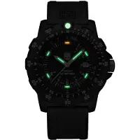 Luminox Montre pour homme X2.2421 Never Get Lost