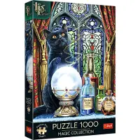 Trefl Puzzle 1000 pièces PremPlus L'Apprentie Sorcière 10898