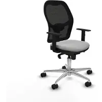 Piqueras Y Crespo Chaise de bureau 1D086N0 Gris clair