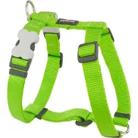Red Dingo Harnais pour chien souple 46-76 cm vert néon