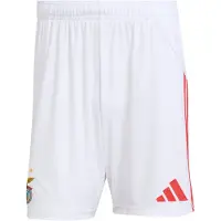 Adidas Benfica 25/26 Home Shorts Rouge S Homme