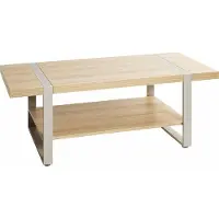 Haku Couchtisch (60 x 120 x 45 cm)