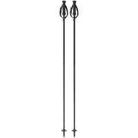 One Way Gt 13 Carbon Poles Argenté 140 cm