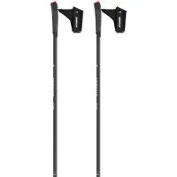 Atomic Savor Qrs Poles Argenté 155 cm