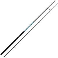 Kinetic Witcher Spinning Rod Argenté 3.00 m / 30-80 g