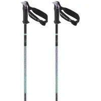 Salomon Polar Pro S3 Poles Argenté 135 cm