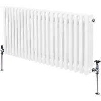 Monster Radiateur Traditionnel ? 3 Colonnes Chauffage Horizontal Blanc 600 x 1012mm