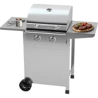 ProfiCook Barbecue à gaz jusqu'à 350°C | Grilles de cuisson en fonte | Détendeur et tuyau inclus | 2 brûleurs | Barbecue à gaz | 2 tablettes | PC GG 1309