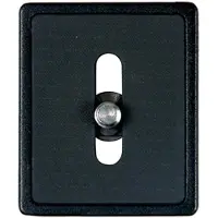 Vanguard Plateau QS-39 à Dégagement Rapide