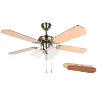 Orbegozo Ct 23105 105 Cm Ceiling Fan Doré One Size / EU Plug 220V