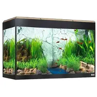 Fluval Roma Led Bluetooth 125l Aquarium Clair