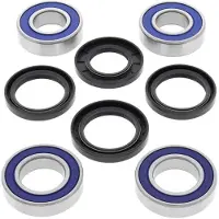 All Balls Radlager Kit hinten