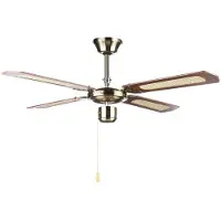 Orbegozo Cf 01105 M 105 Cm Ceiling Fan Doré One Size / EU Plug 220V